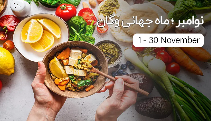 تایسزمگ نوامبر (آبان-آذر) ماه جهانی وگان