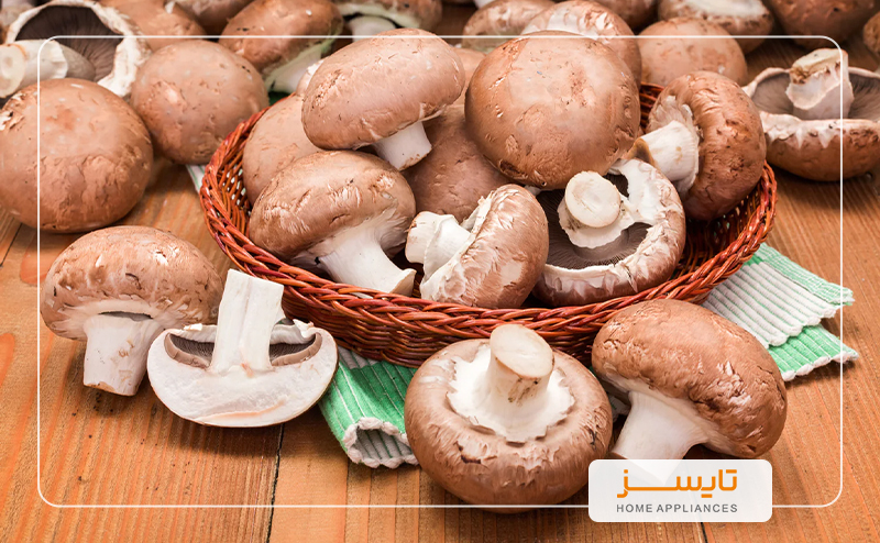 فواید قارچ برای سلامتی قارچ