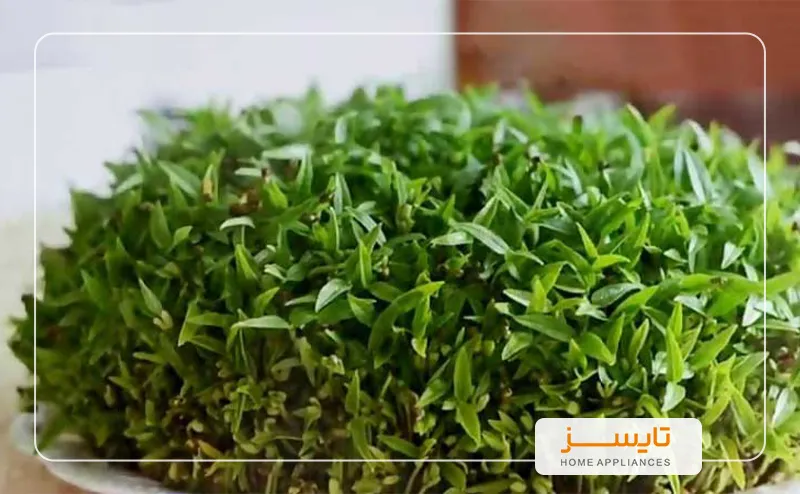 عید نوروز و 7 سین خرید عید نوروز و 7 سین | تایسز
