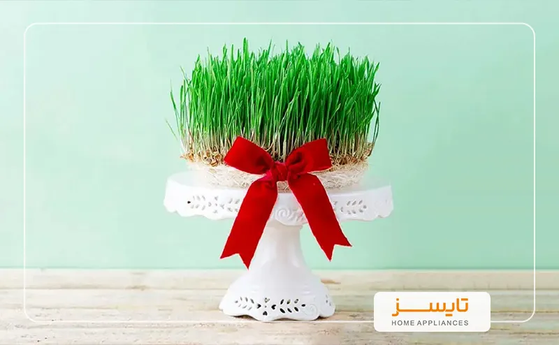 عید نوروز و 7 سین خرید عید نوروز و 7 سین | تایسز